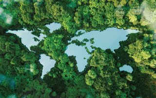 forest seen from the sky with lakes with the shape of continents