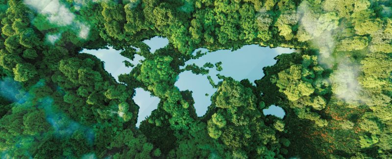 forest seen from the sky with lakes with the shape of continents